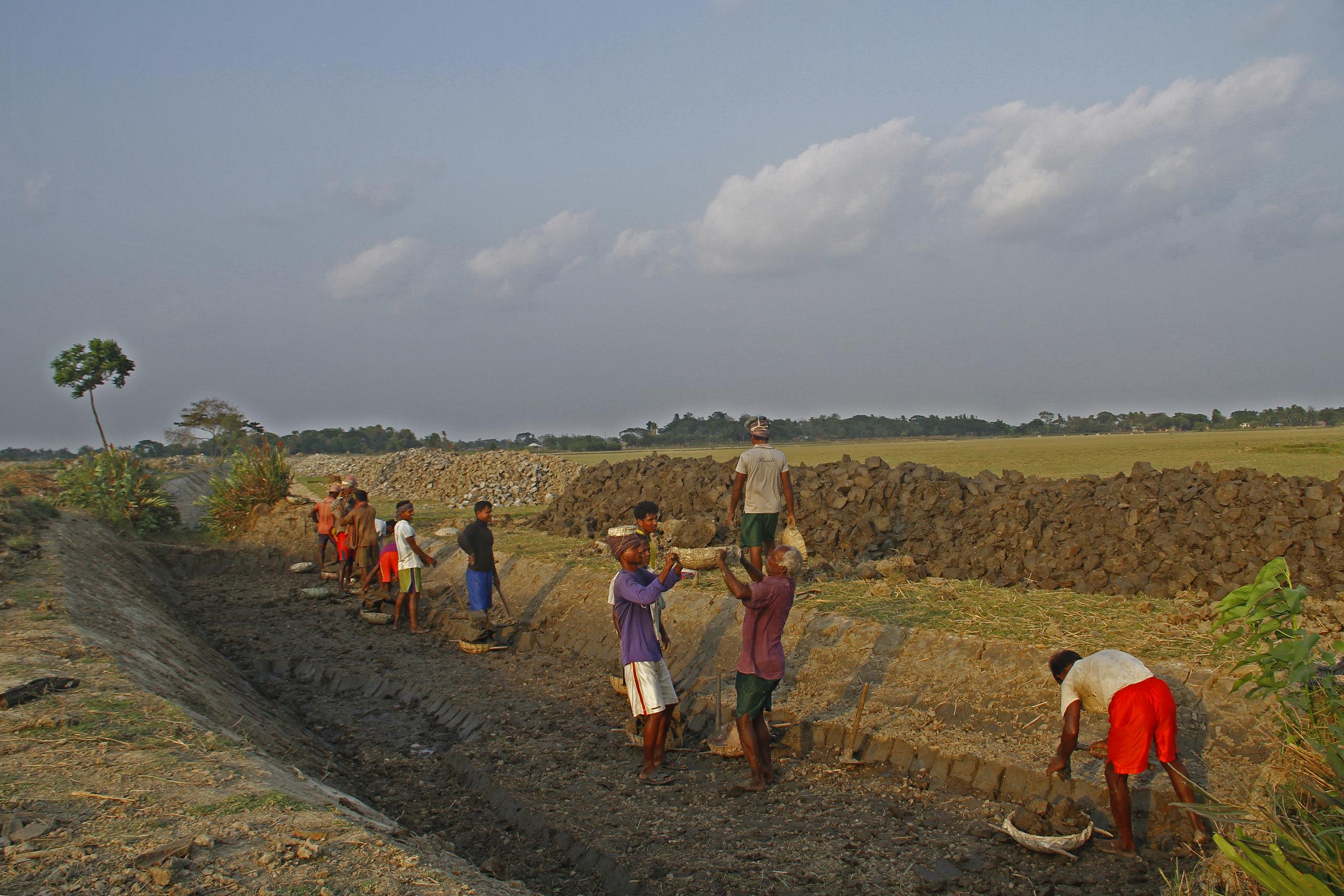 Blue Gold workers in field