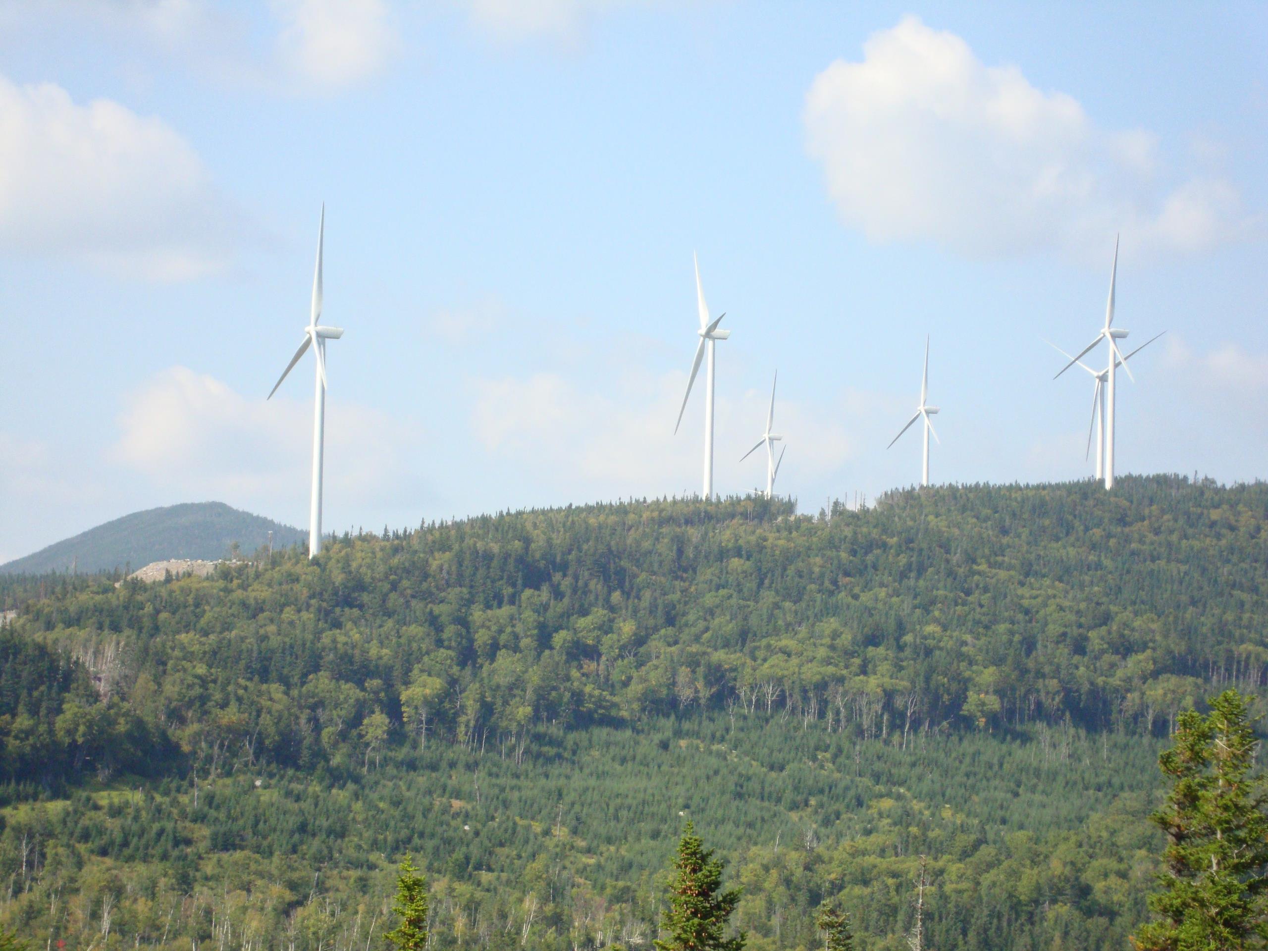 Trees and wind turbines