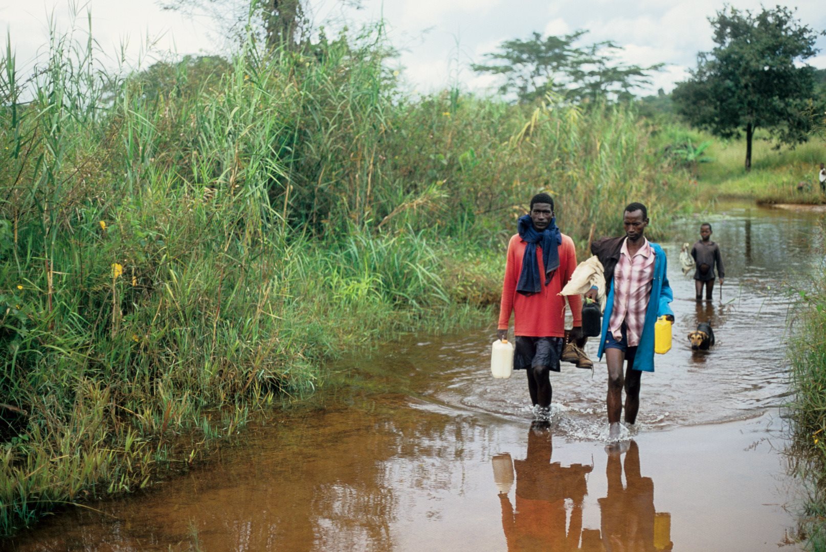 Men carrying water near Lake Victoria