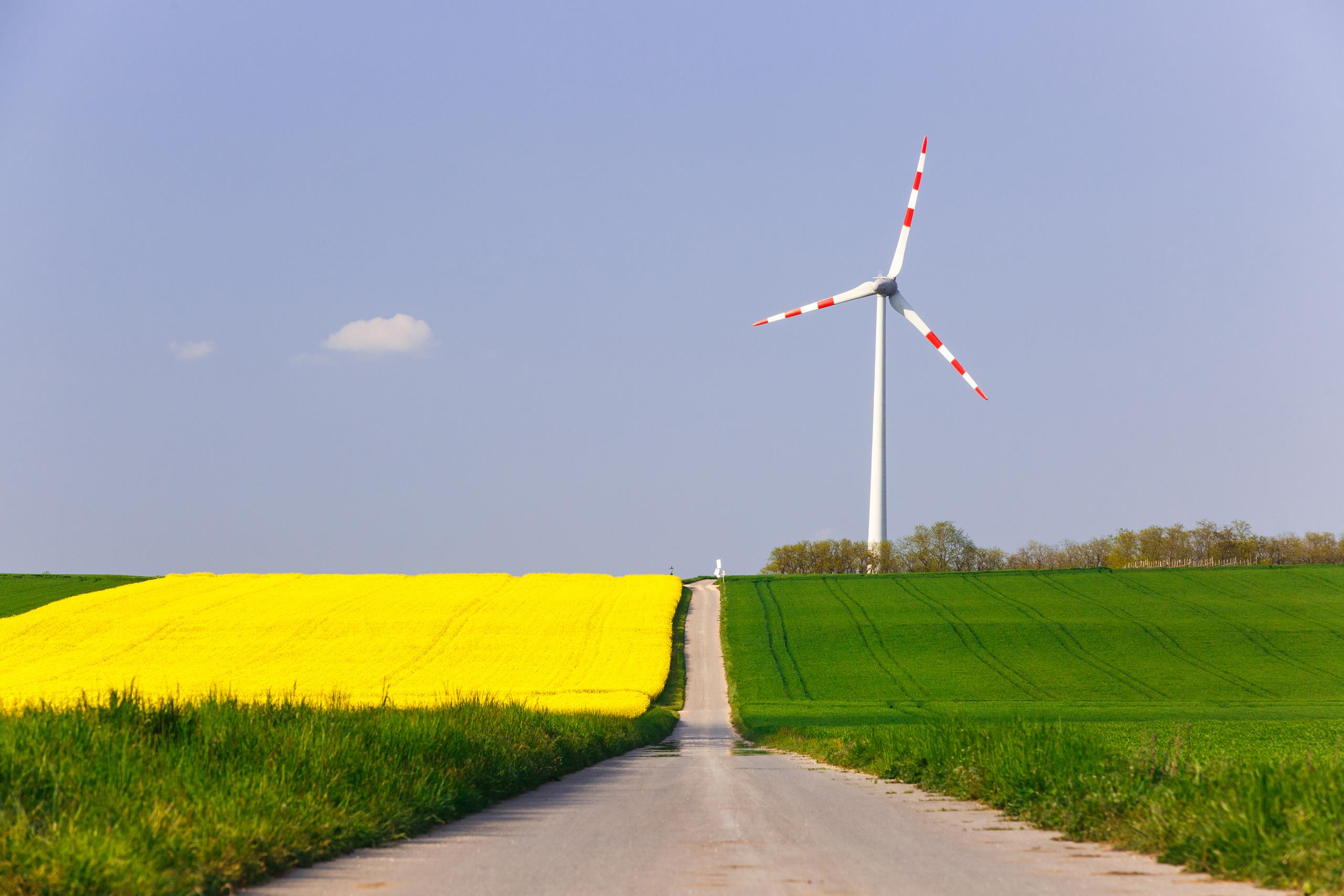 Wind farm with spinning wind turbine