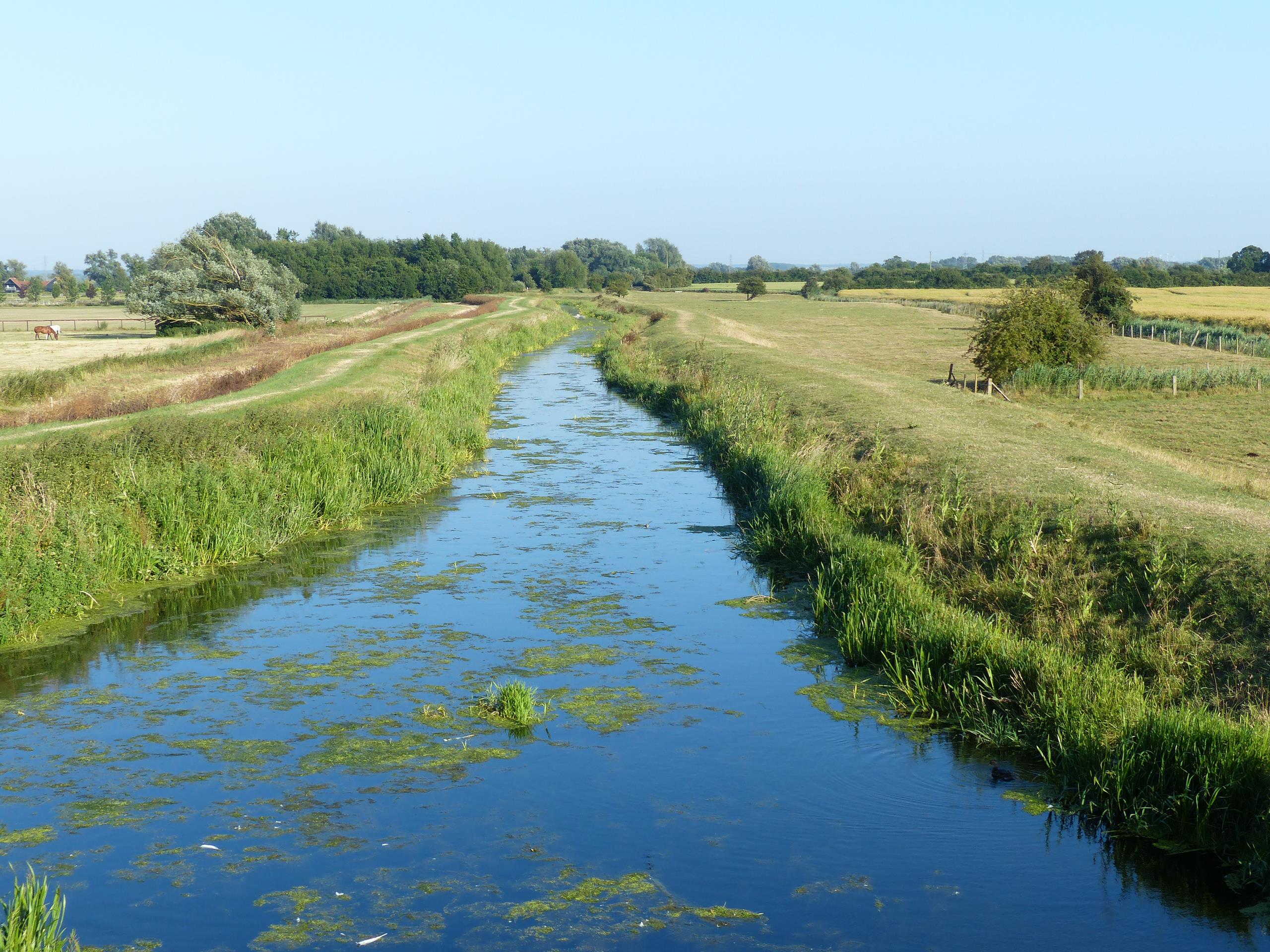 A view of the catchment in East Anglia from the water