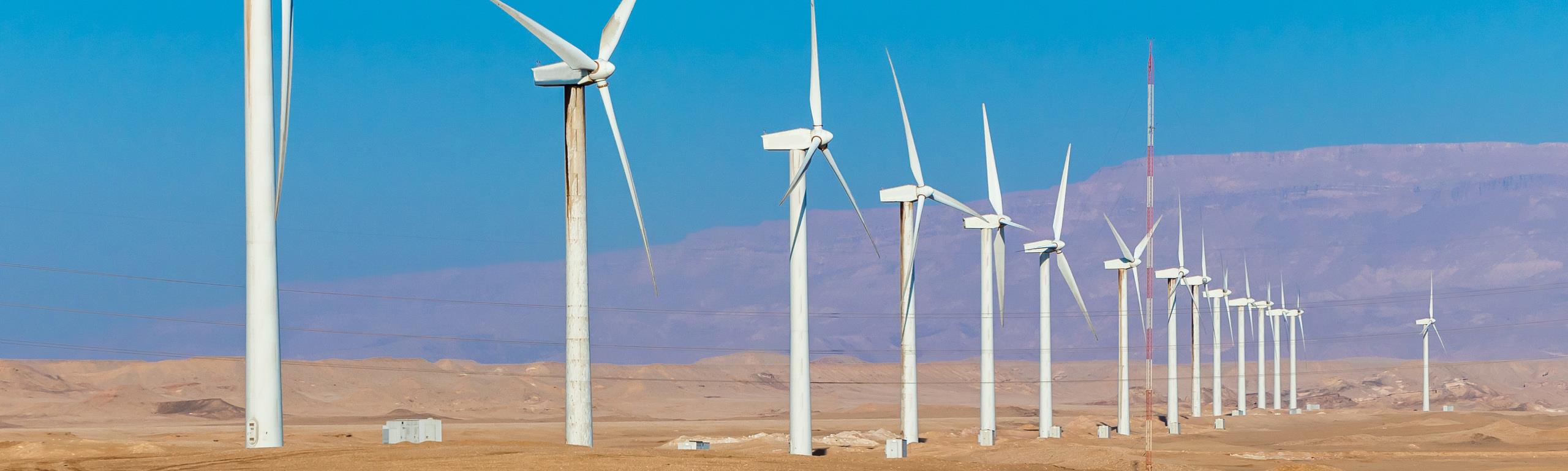 A wind farm in Egypt