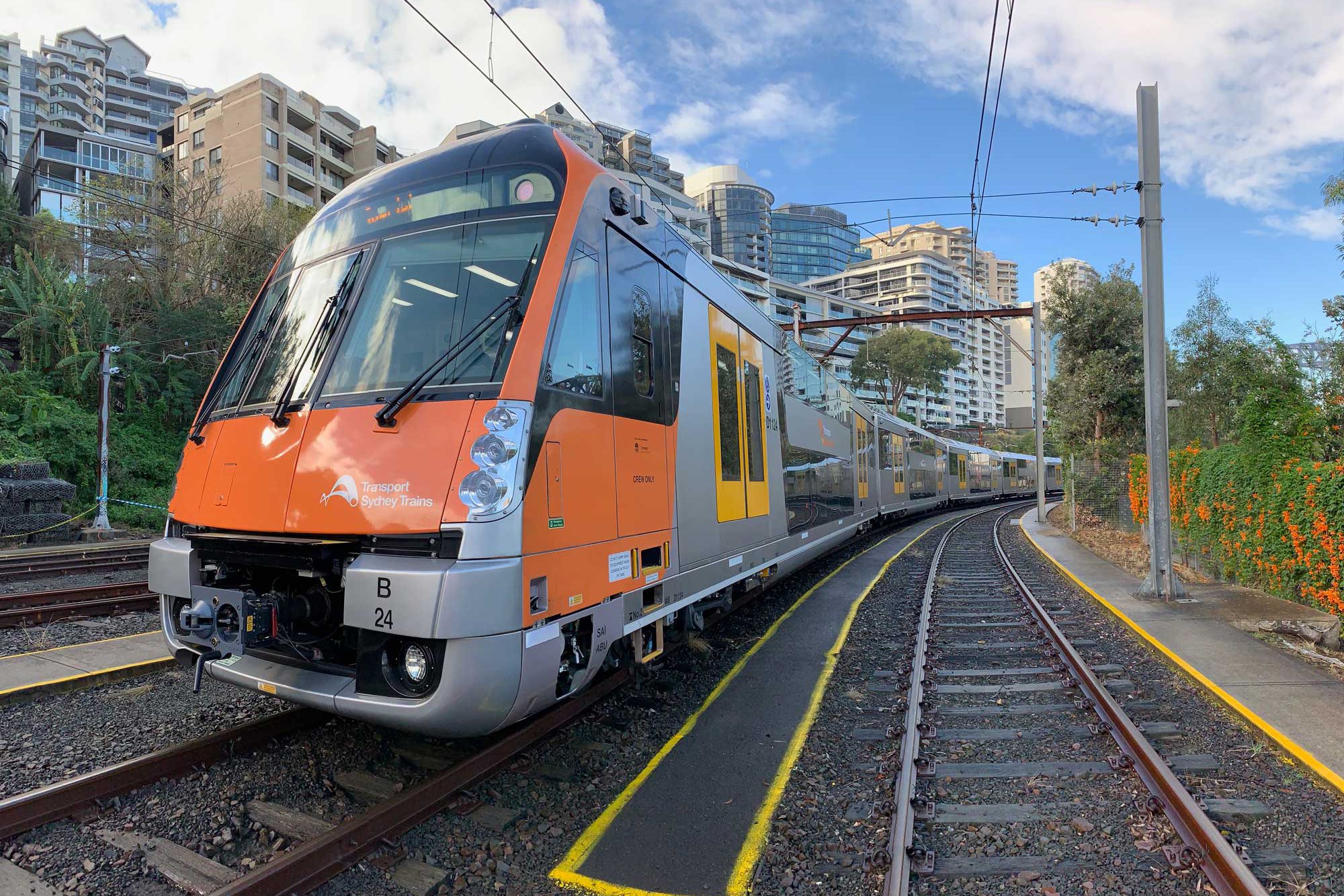 A 'Transport Sydney Trains' train travelling through the city