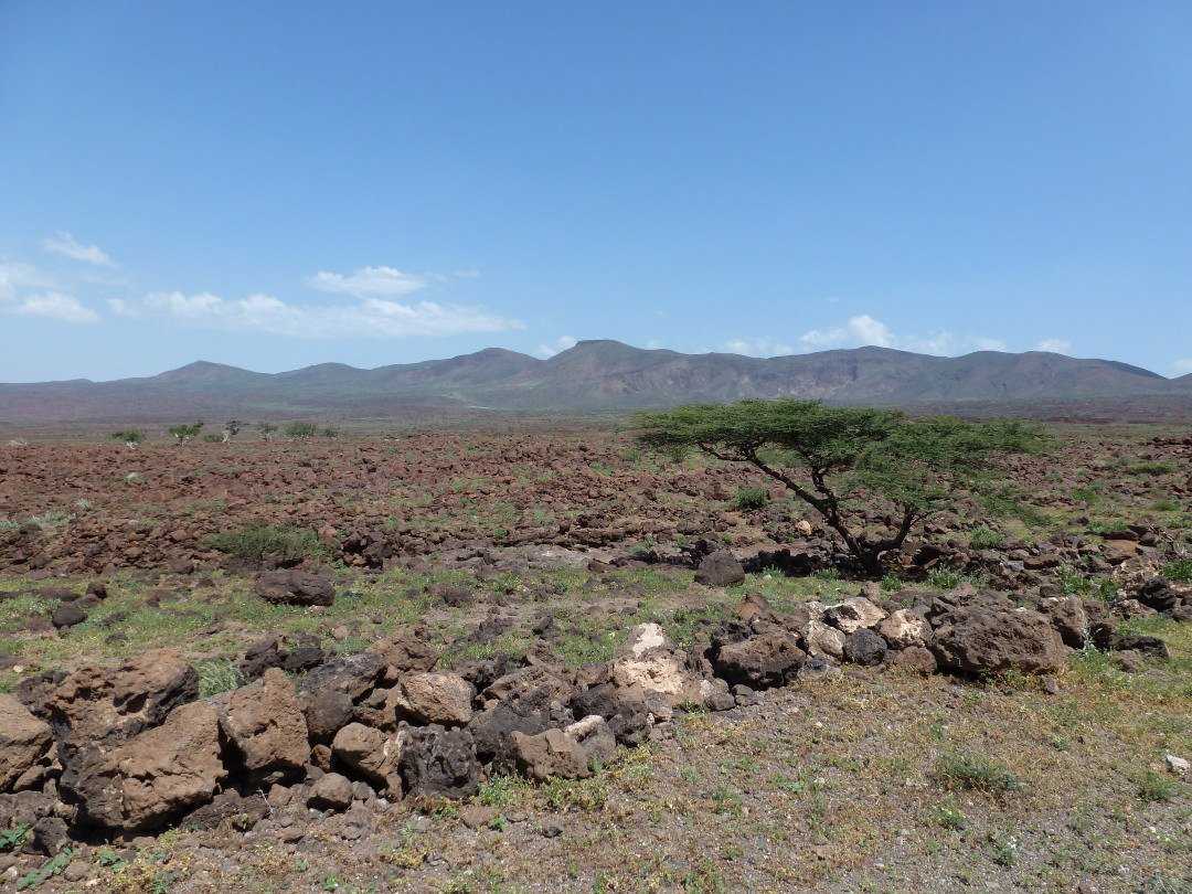 View of the proposed site for the wind farm on the shore of Lake Turkana showing mountains in background