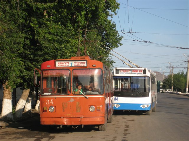 Trolleybuses in street