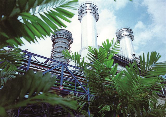 external view of Paka power station with palm fronds in foreground