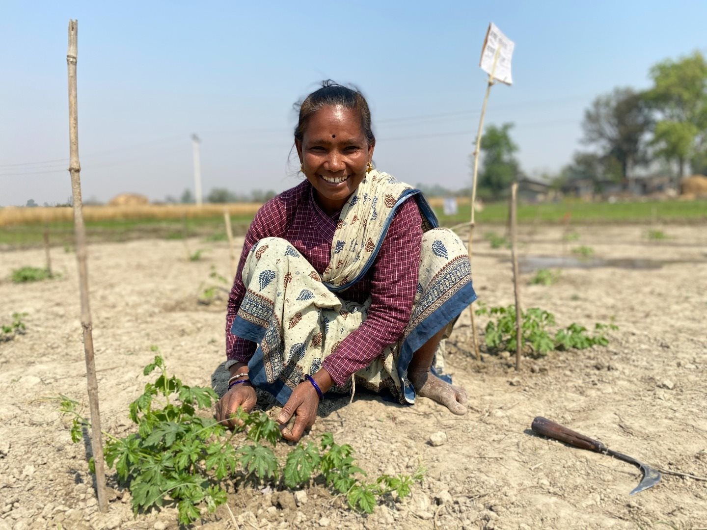 Woman planting in Nepal
