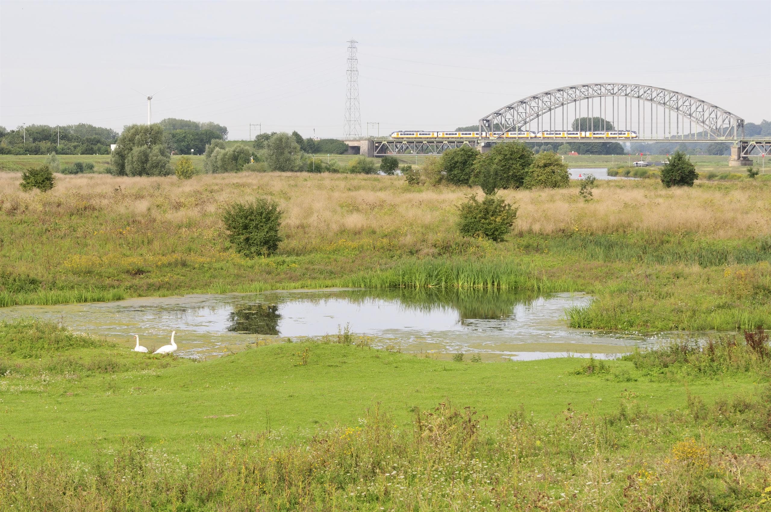 Mott MacDonald is leading efforts at two of the sites along major Rhine branches: at Meinerswijk, which is the floodplain of the Rhine within the City of Arnhem, and along 22 km of the lower River IJssel.