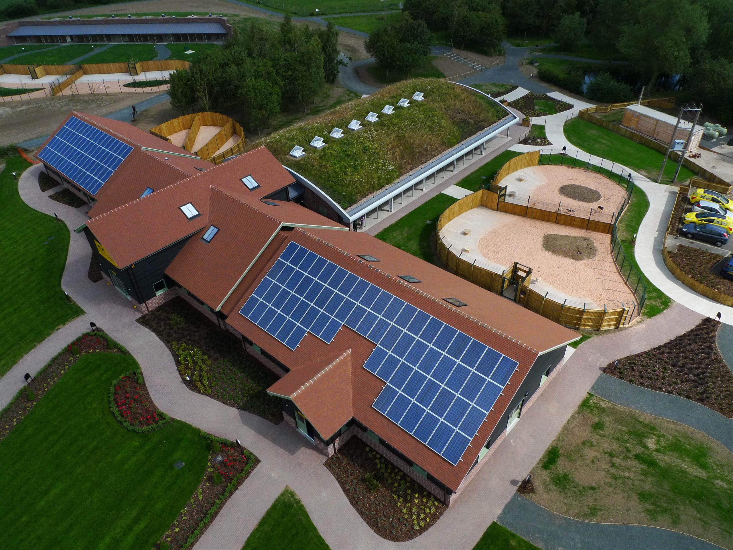 Aerial view of dogs rehoming centre
