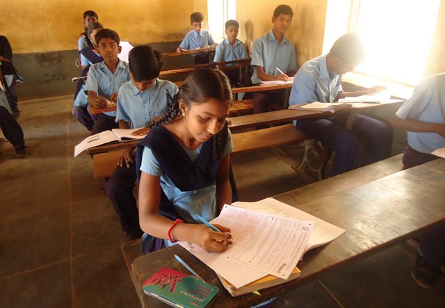 Girl in Class VIII takes national achievement survey