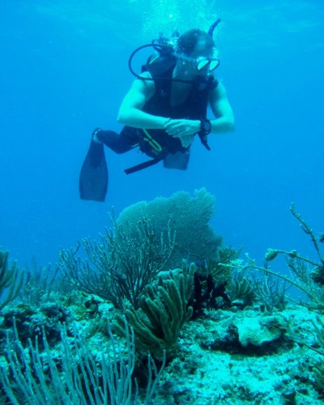 Ian scuba diving in Cozumel, Mexico and trying to find Nemo!